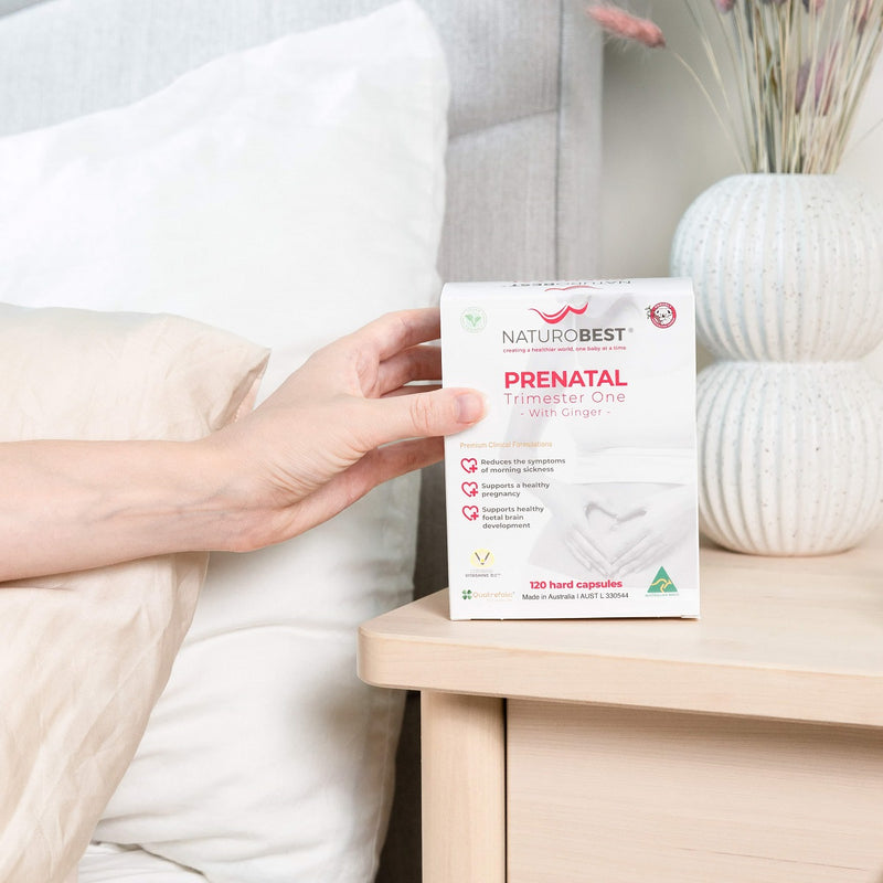 Prenatal Trimester One