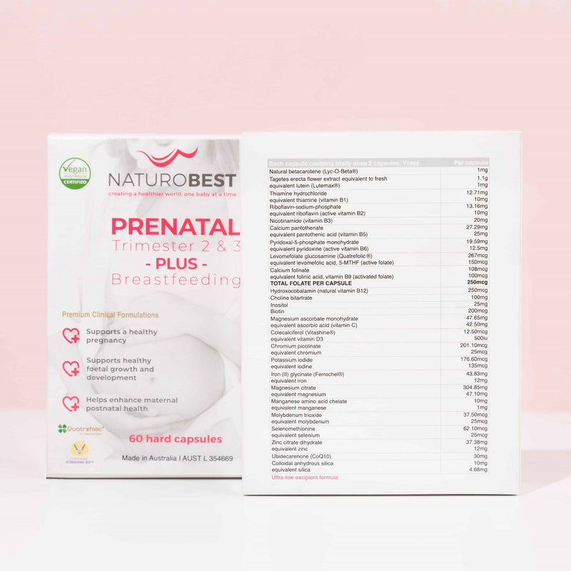 Prenatal Trimester 2 & 3 plus breastfeeding