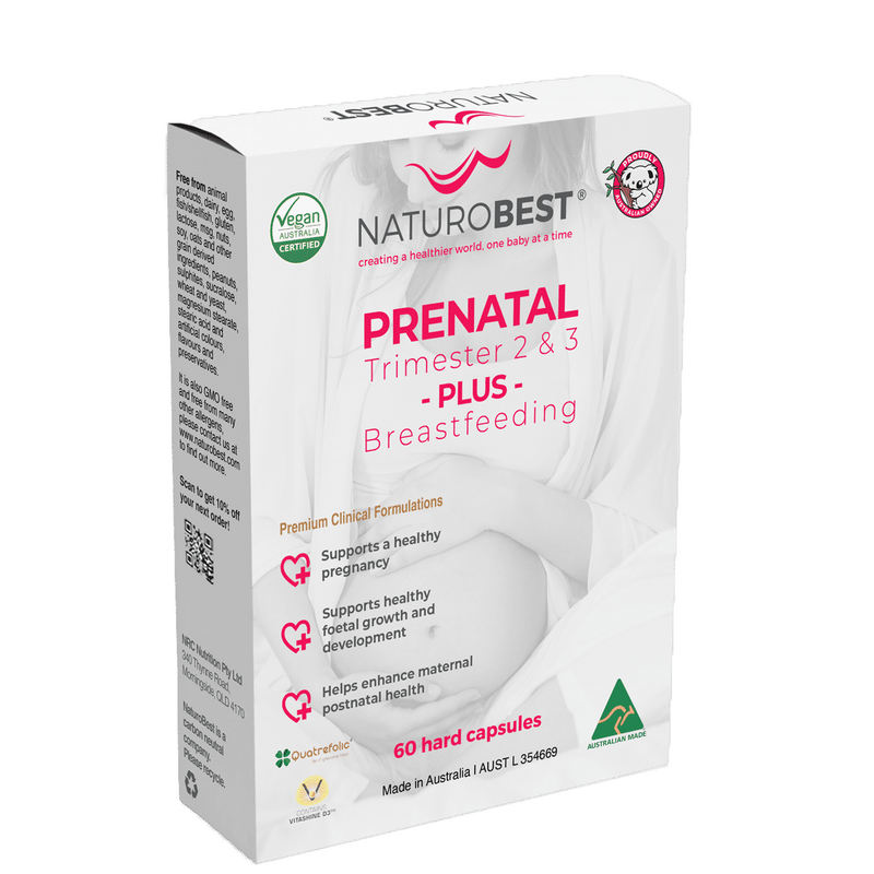 Prenatal Trimester 2 & 3 plus breastfeeding